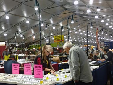 trade show lighting rentals at Tucson 22nd st show