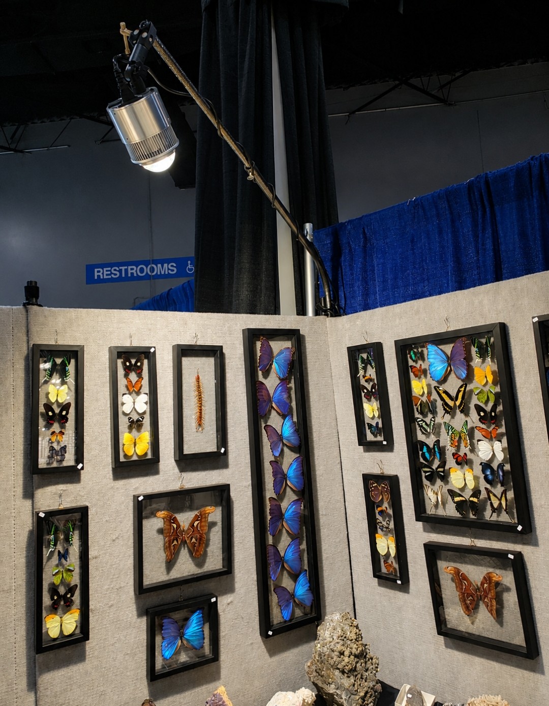 ProPanel Custom LED Lighting Extension - Image 4