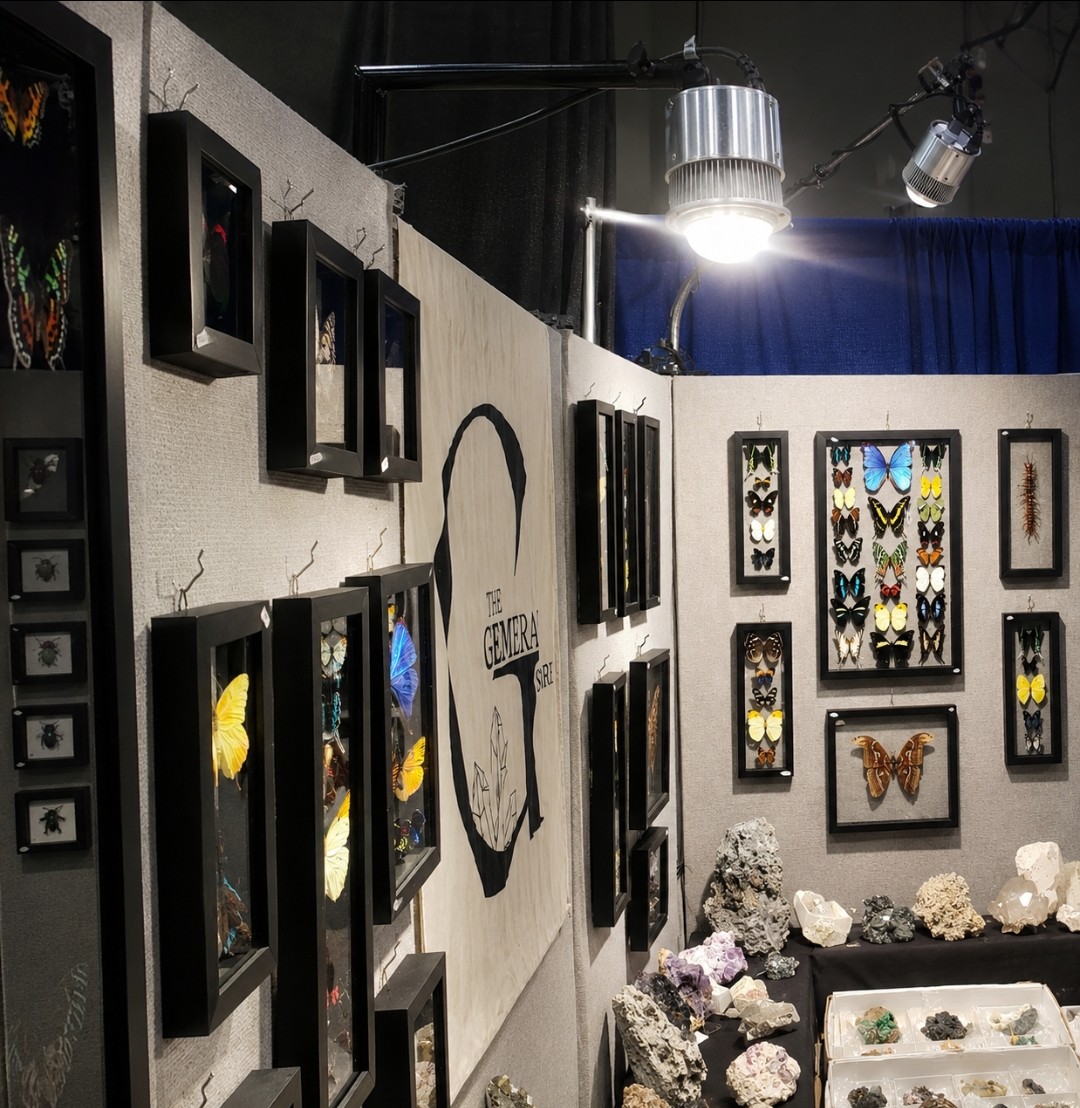 ProPanel Custom LED Lighting Extension - Image 7